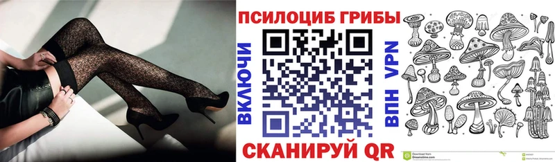 даркнет состав  Палласовка  Псилоцибиновые грибы Psilocybine cubensis 